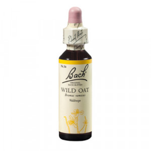 Produktbild von BACHBL&Uuml;TEN Wild Oat Tropfen