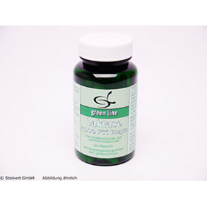 LAKTASE 4.000 FCC Enzym Kapseln